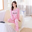 2 Pcs Women's Stitched Jersey Cotton Printed  Night dress