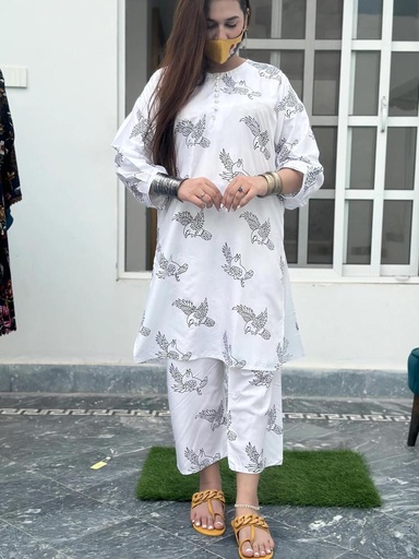  2 Pcs Women's Stitched Linen Printed Suit